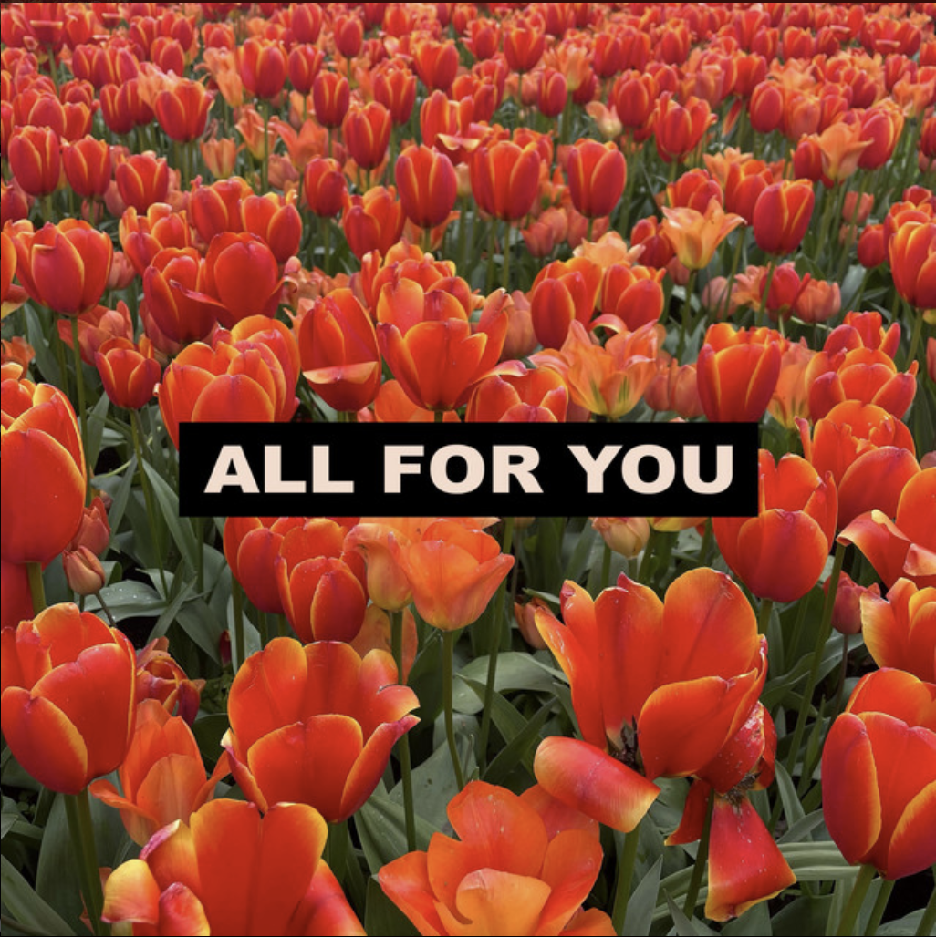 ALL FOR YOU artwork